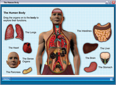 Human Body Systems - Home